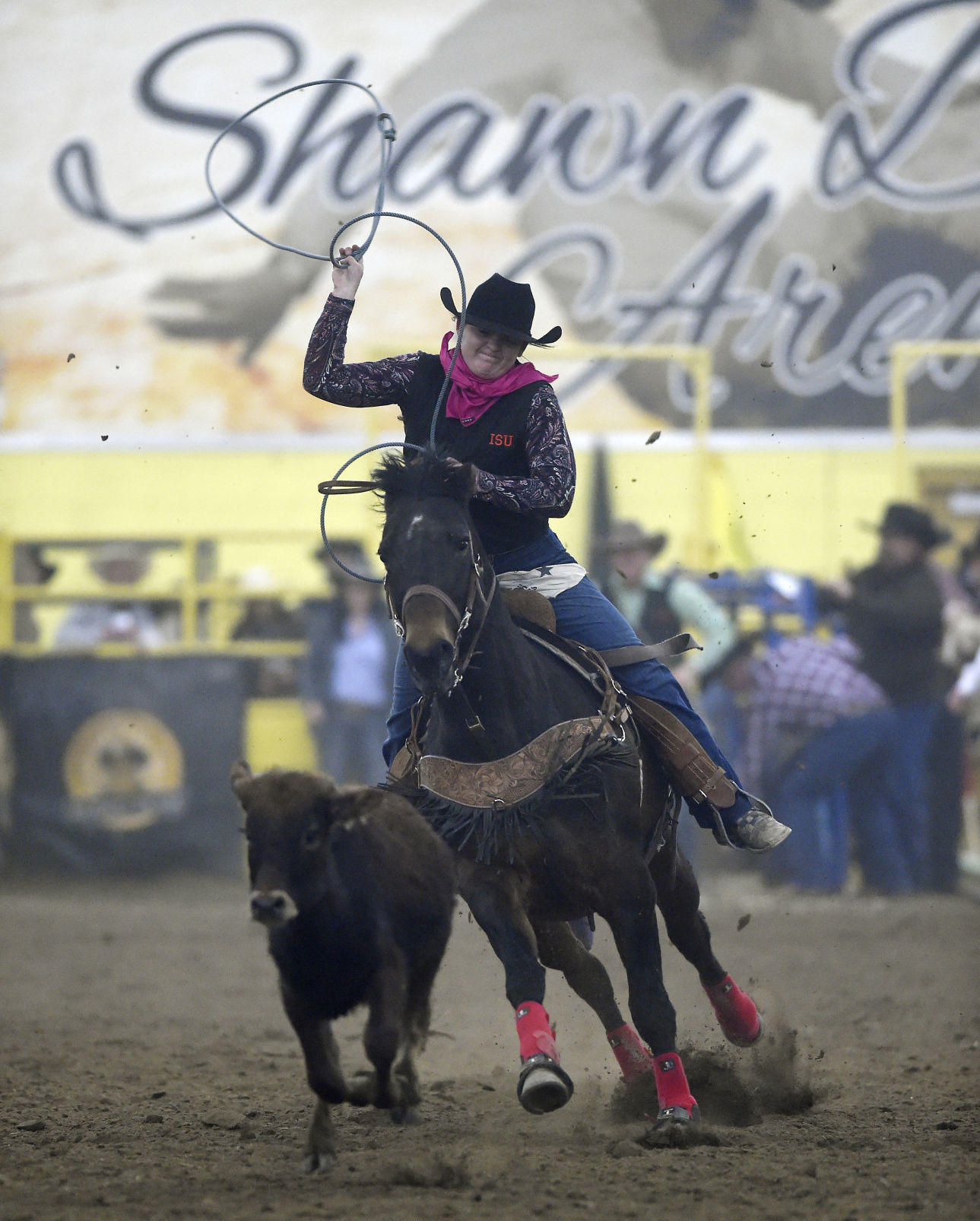 CSI Rodeo, 2018